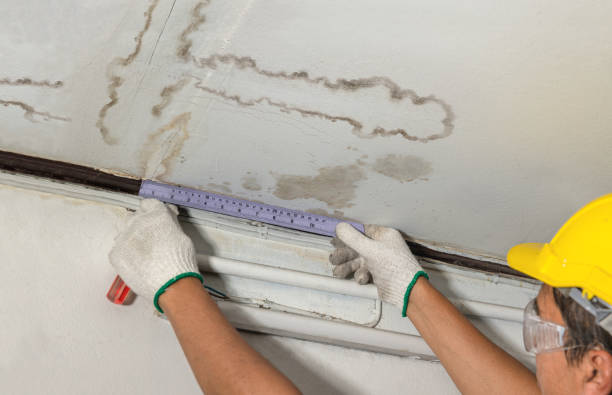 Reliable Burst Pipe Cleanup contractor in Le Center, MN by Water Damage Irwin